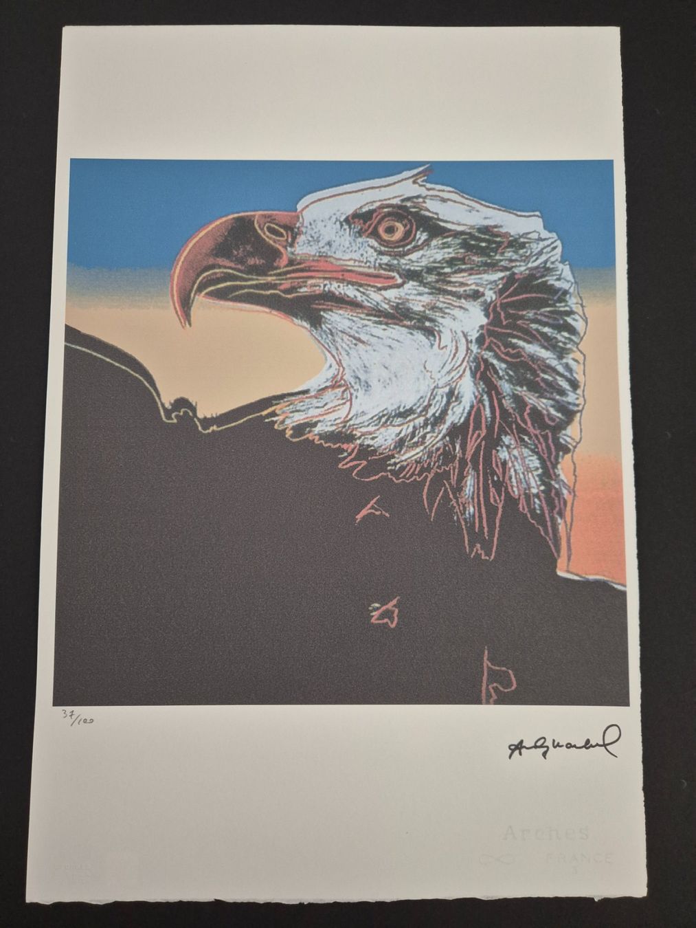 Foto & Immagini: Andy Warhol, Eagle 37/100 – Usato da Staufen venduto da saerdna81