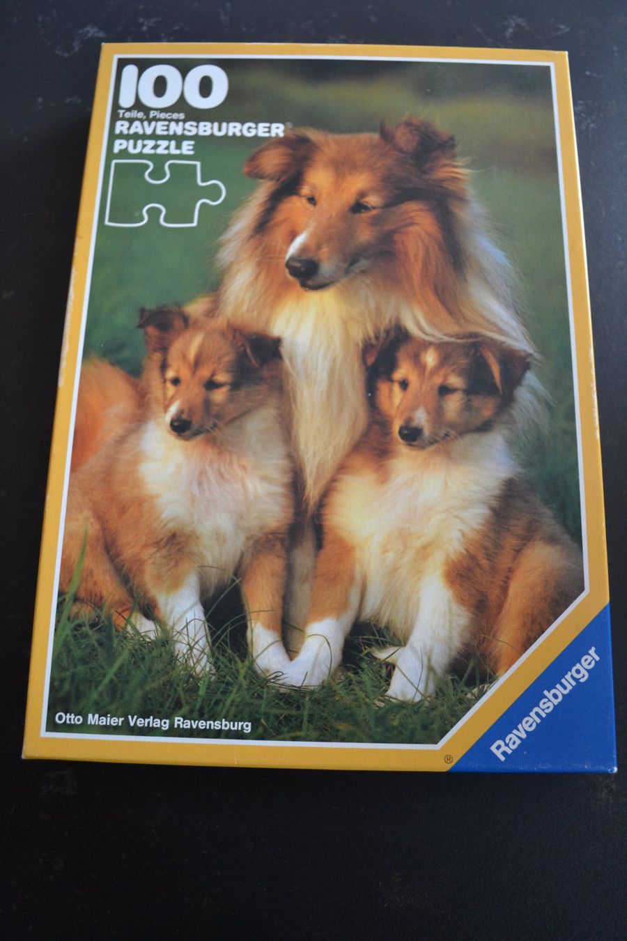 Ravensburger Puzzle: Puzzle 100 er für Kinder – Usato da Beinwil am See venduto da kajak55