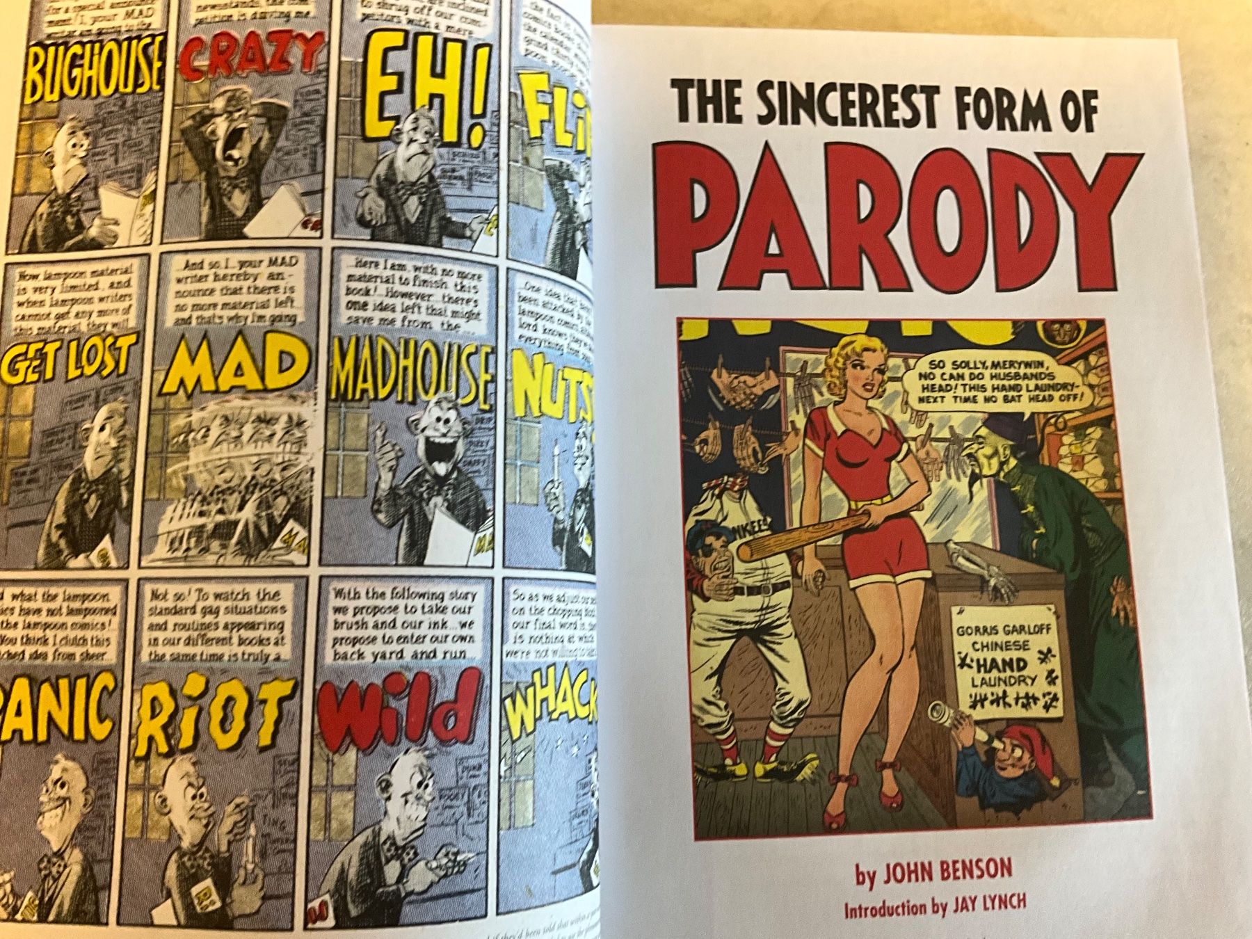 BD: The Sincerest Form of Parody – D'occasion à Agriswil par Ueli03 1
