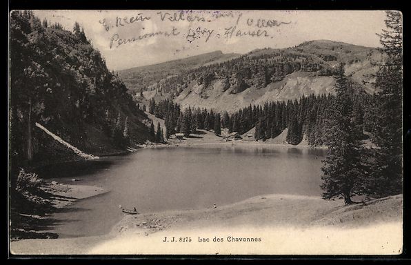 Ansichtskarten: AK Lac des Chavonnes, Rive et forêt – Gebraucht aus Berlin von bartko-reher