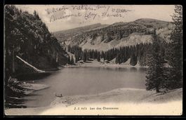 AK Lac des Chavonnes, Rive et forêt