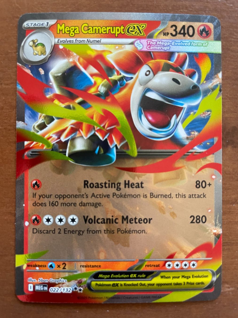 Pokémon Carte collezionabili: Pokemon Mega Camerupt eX (Versand gratis) – Nuovo (secondo la descrizione) da Chur venduto da Angerson