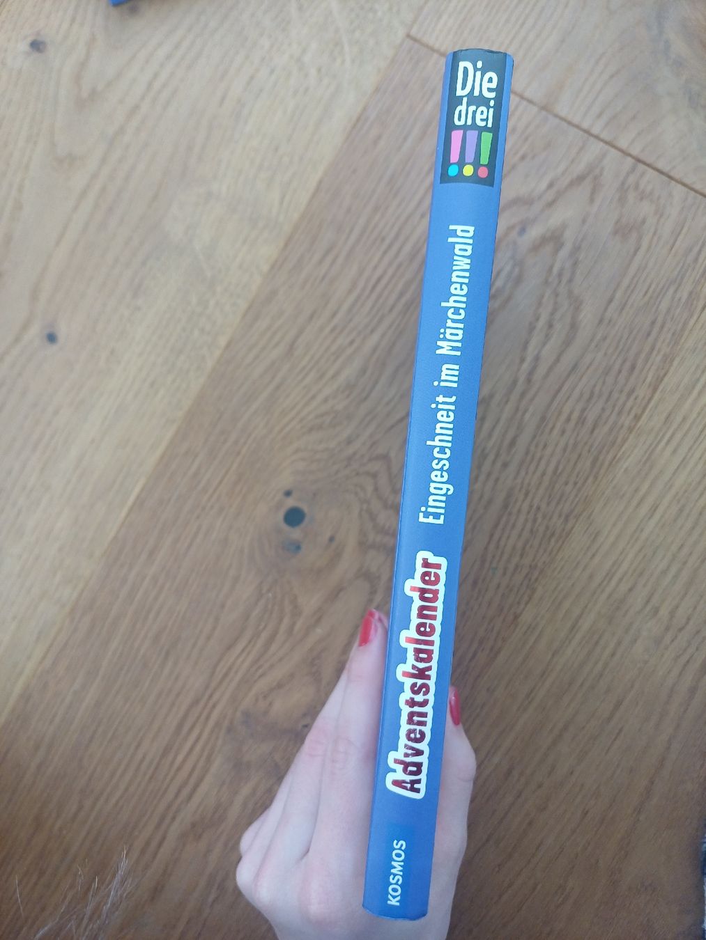 Libri: Die drei !!! Adventskalender - Eingeschneit im Märchenwald – Nuovo (secondo la descrizione) da Wald ZH venduto da snowfunfor2 1