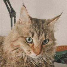 Profile image of bar_bj6x