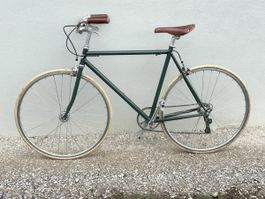 Fahrrad Weisswangenkauz