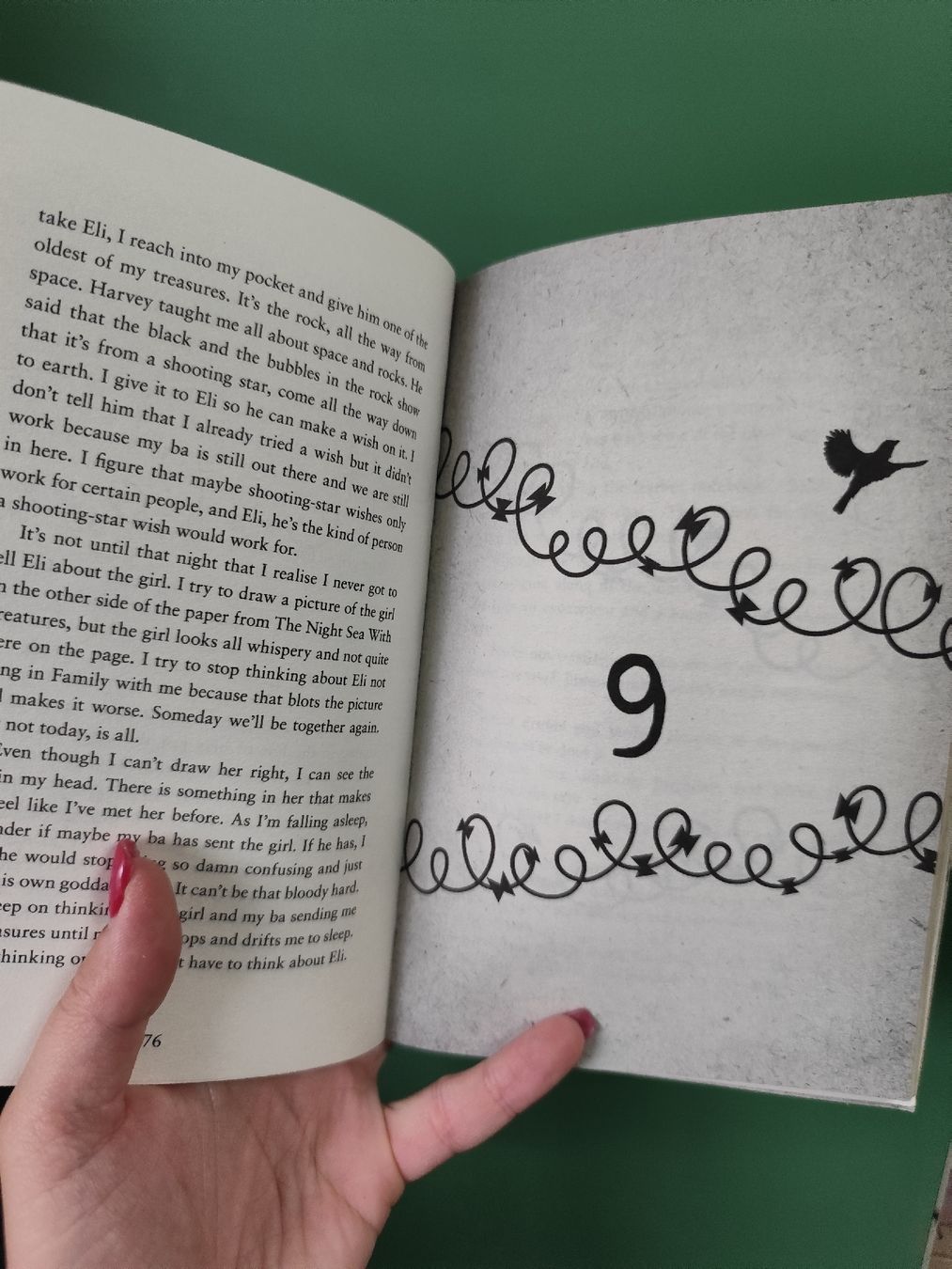 Libri: Fraillon The Bone Sparrow Book - Kids Summer Read – Usato da Mägenwil venduto da VintageGirly 6
