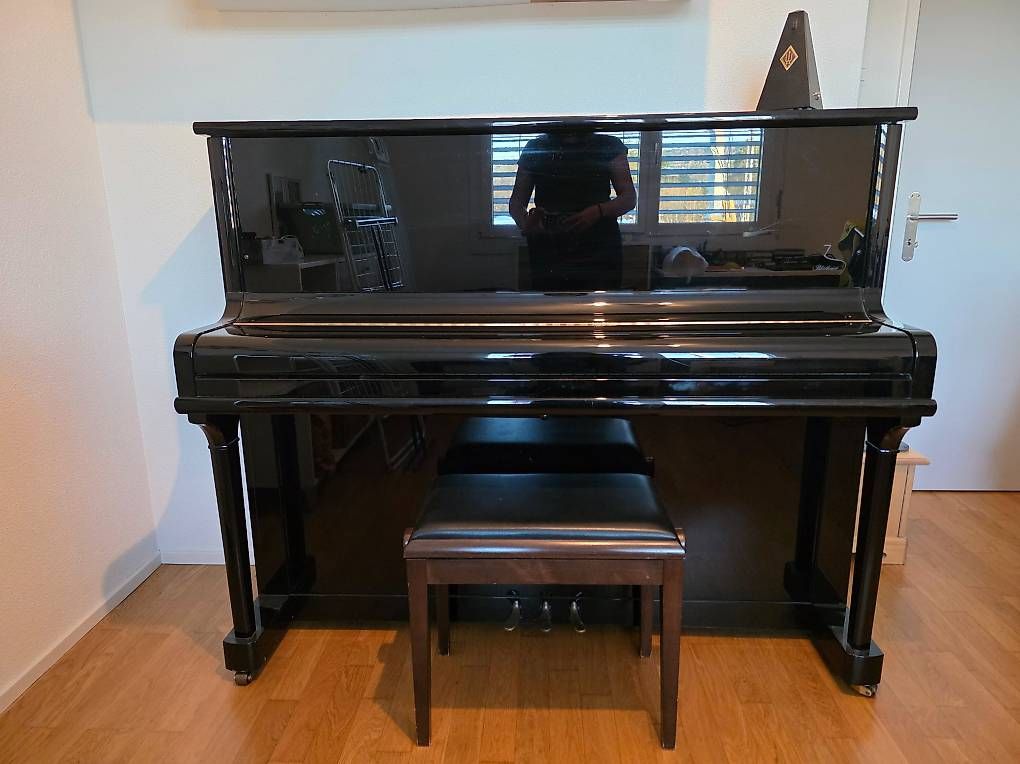 Blüthner Strumenti musicali: Klavier Marke Blüthner – Usato da Thun venduto da hen_cb6d 3