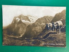 Kleine Scheidegg - Wetterhorn