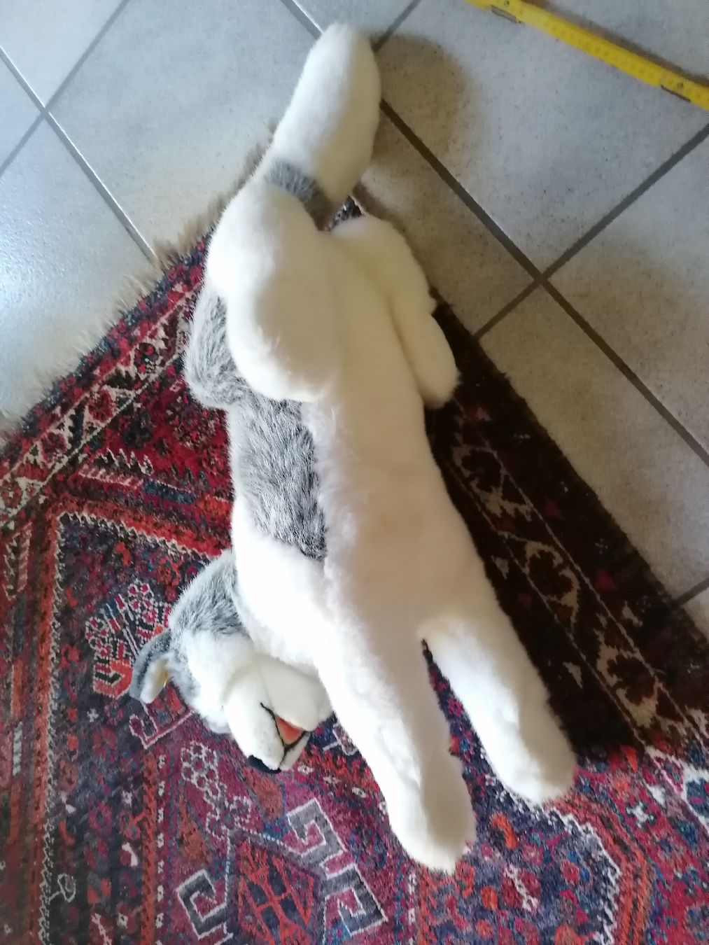 Steiff Spielzeuge: Steiff Hund Husky Sehr Gross – Gebraucht aus Biberist von troedlerheinz 3