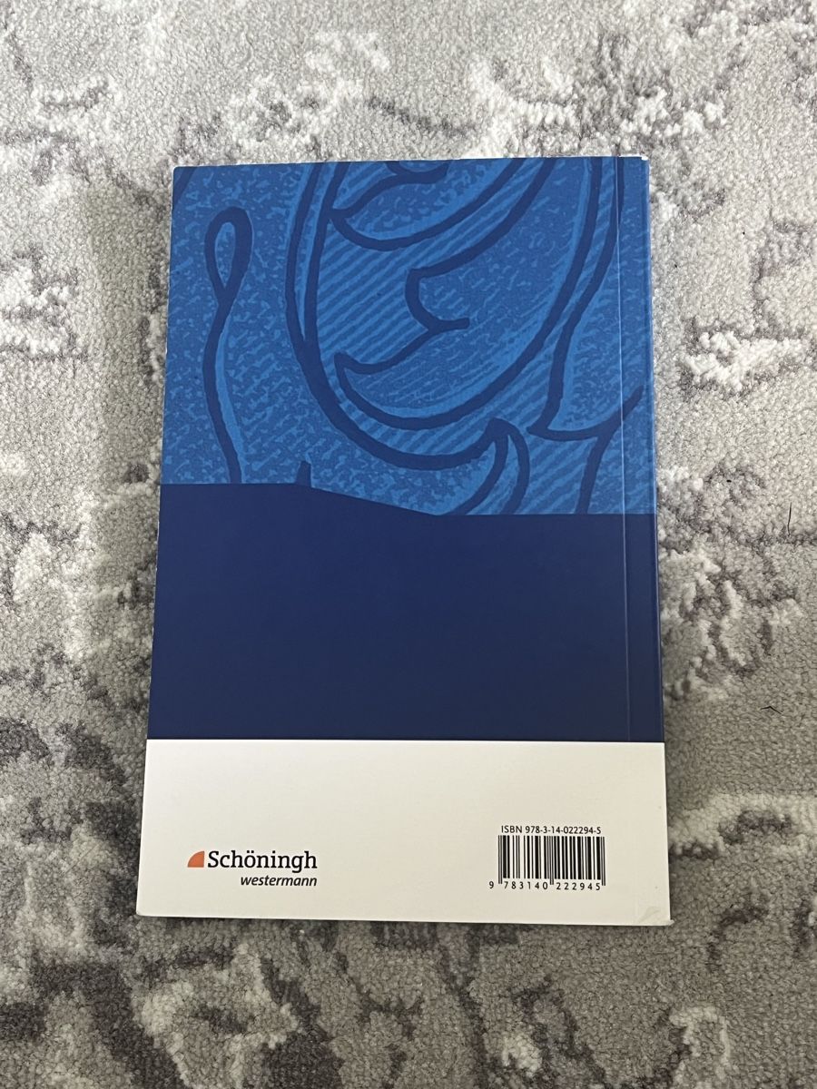 Libri: Der Schimmelreiter - Theodor Storm – Nuovo (secondo la descrizione) da Gebenstorf venduto da ani_fj2g 1