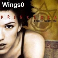 Princessa – I Won't Forget You   (1999)