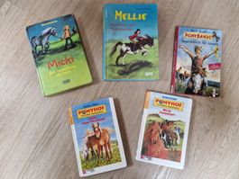5 Pony-Bücher für junge Pferdefreunde