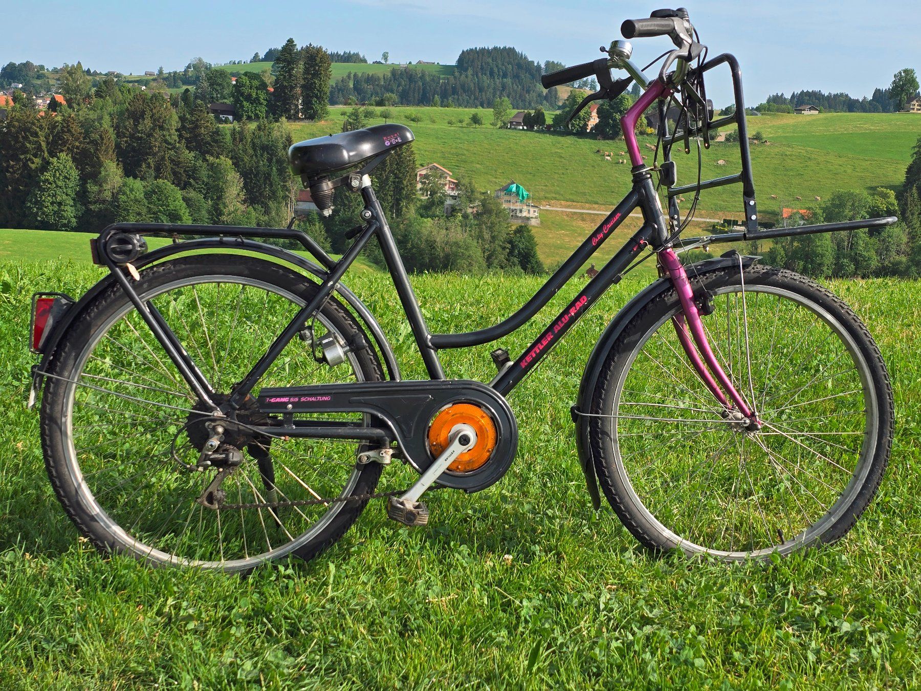 Biciclette: KETTLER FAHRRAD – Usato da Wald AR venduto da Bossi54