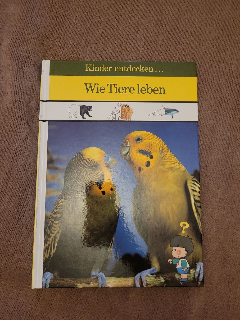 Libri: Kinderbuch: Wie Tiere leben – Usato da Perlen venduto da Safari_23