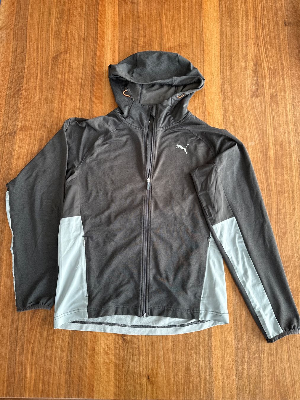 Puma Pullover & Sweatshirts: Pullover Puma – Gebraucht aus Marbach LU von sand003