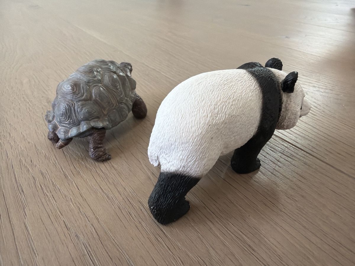 Schleich Giocattoli: Schleich Schildkröte und Panda – Usato da Kallnach venduto da Thetrader 2
