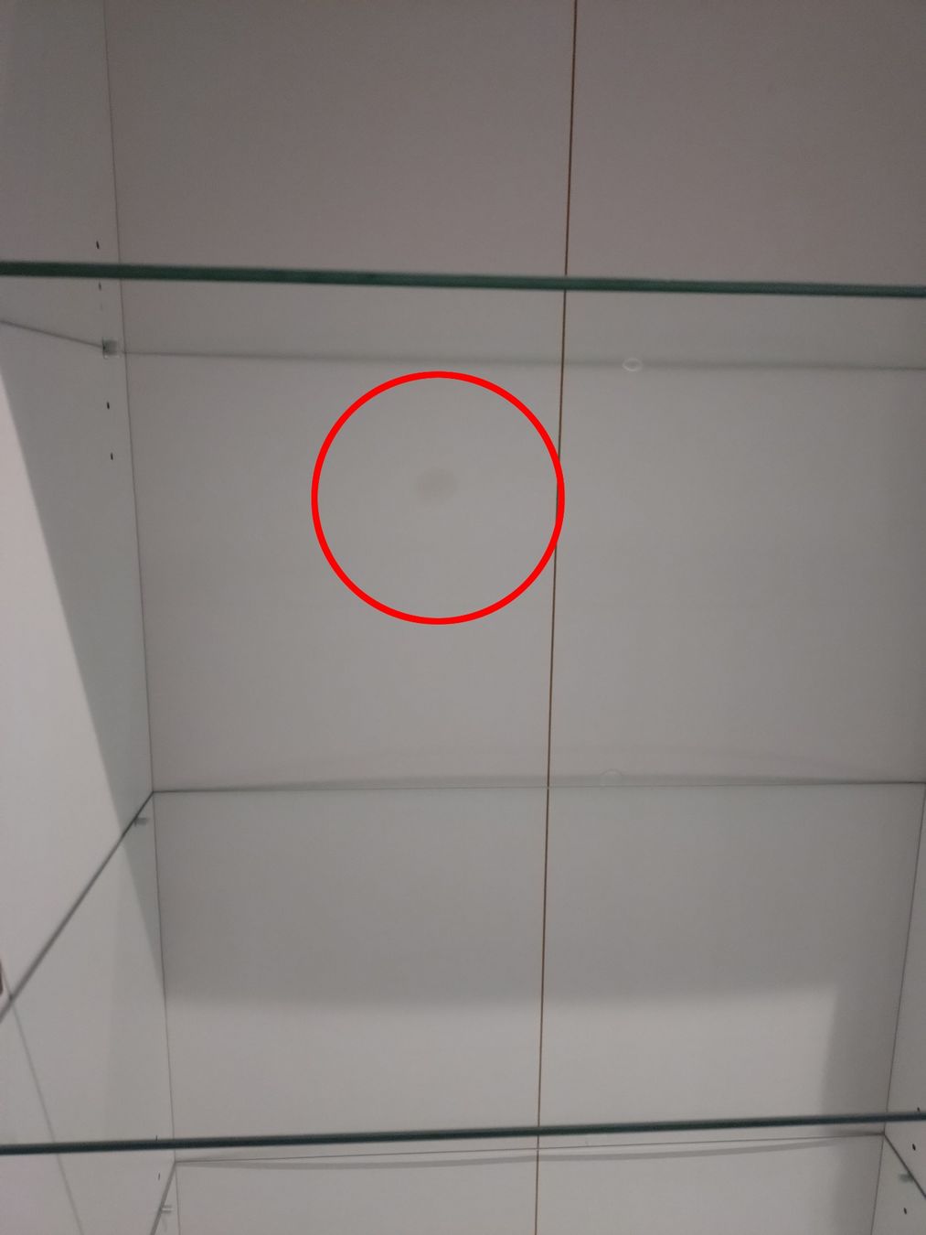 Vetrine: Vitrine hoch – Usato da Rotkreuz venduto da eli200 4