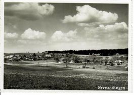 Hermandingen