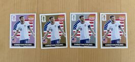Paninni Extra Sticker Christian Pulisic