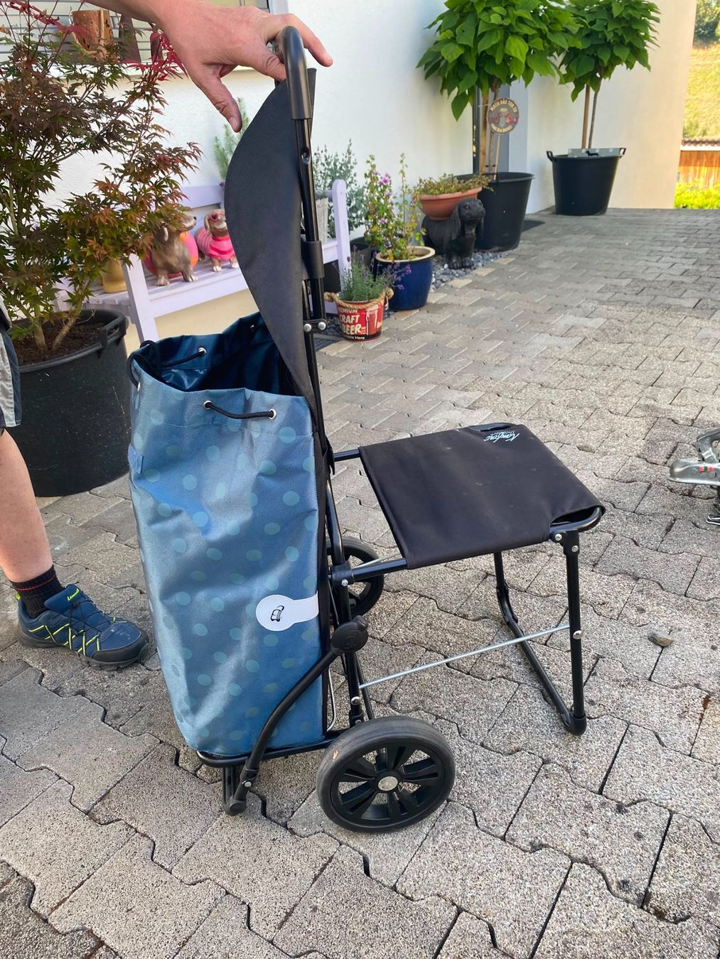 Altro per la casa: Einkaufstrolley mit Sitz blau Punkte neuwerwertig – Usato da Ebersecken venduto da ron_yps7 1