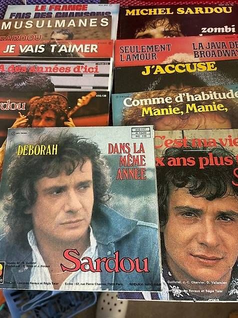 Vinyles: Disques Michel Sardou   – D'occasion à Chézard-St-Martin par Famille.Richard