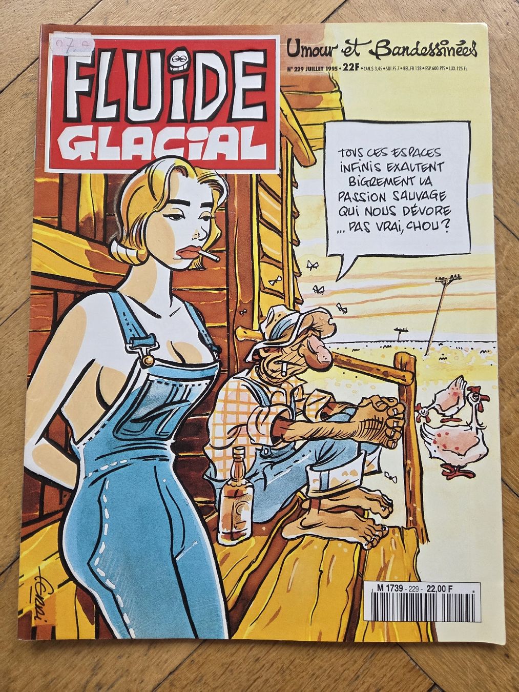 Fumetti: Fluide Glacial 229 Juillet 1995  – Usato da Territet venduto da Cenh