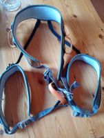 Klettergurt Black Diamond Momentum L-XL 