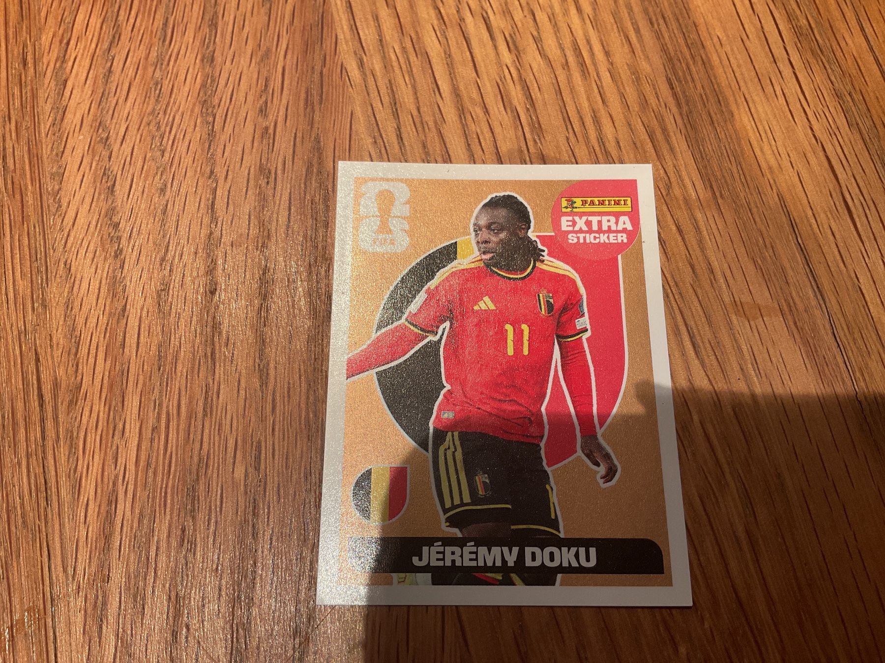 Panini Carte collezionabili: Doku bronzen panini – Usato da Zürich venduto da lidia76