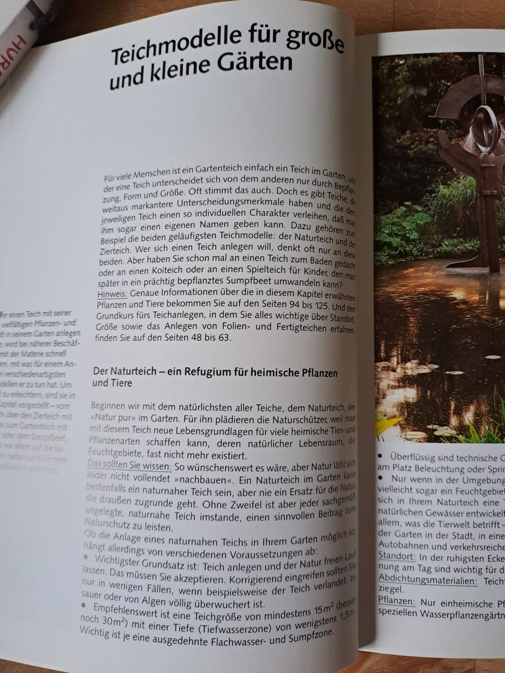 Libri: Gartenteich die schönsten Ideen – Nuovo (secondo la descrizione) da Sevelen venduto da Cangaroo 3