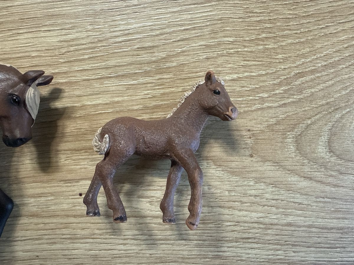 Schleich Figurines: Schleich 1 Pferd 2 Fohlen – D'occasion à Zürich par HanBel 1