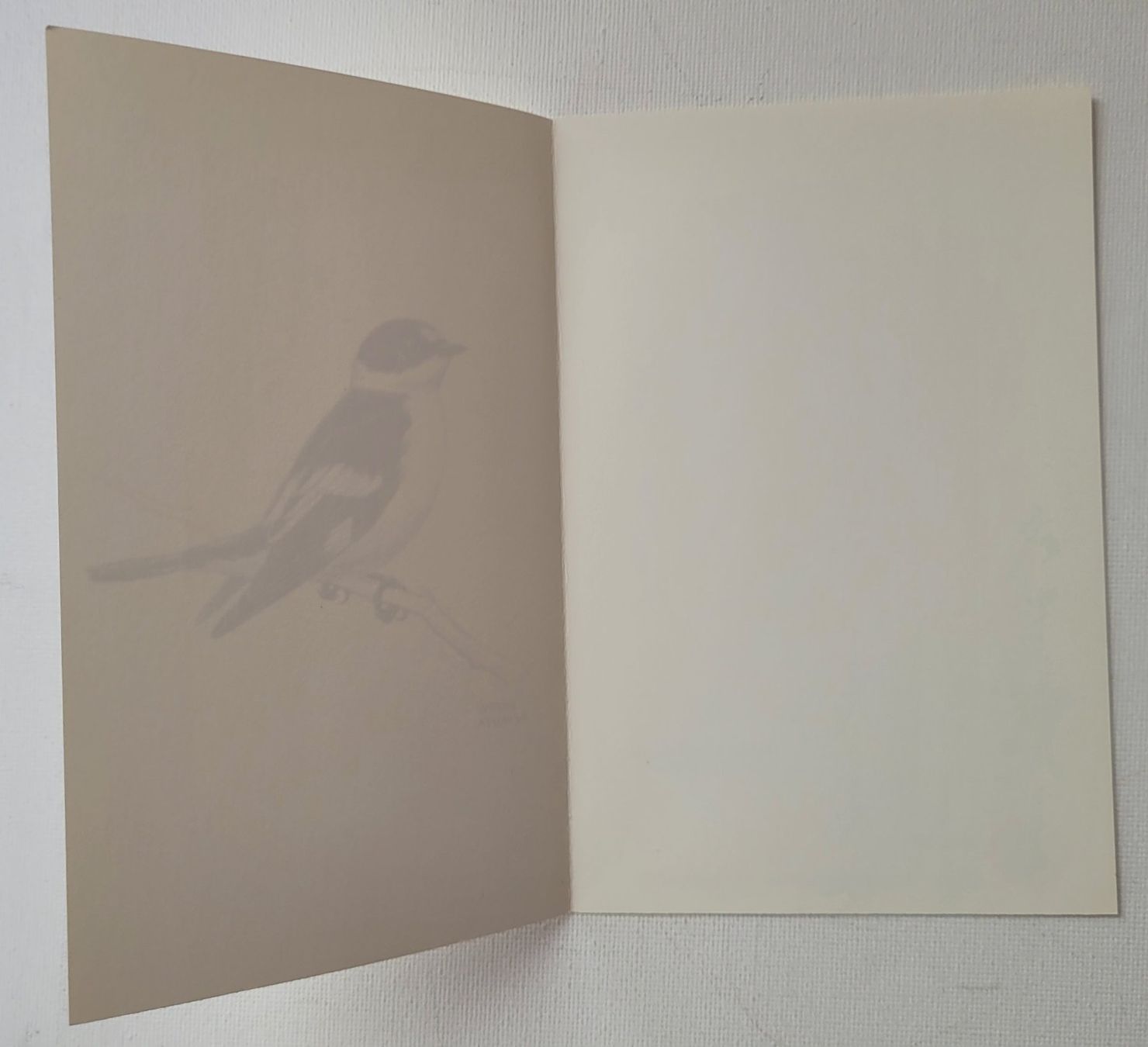 Cartoline postali: HALSBANDSCHNÄPPER – Nuovo (secondo la descrizione) da Neftenbach venduto da Mador6 2