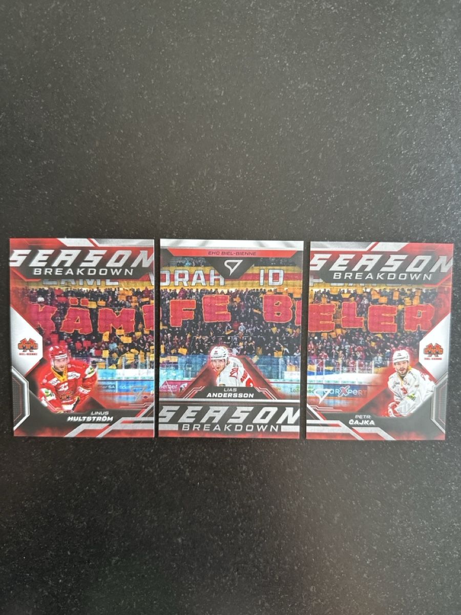 Sportzoo Carte collezionabili: Sportzoo season breakdown EHC Bienne  – Nuovo e nell'imballaggio originale da Posieux venduto da figaro_nala