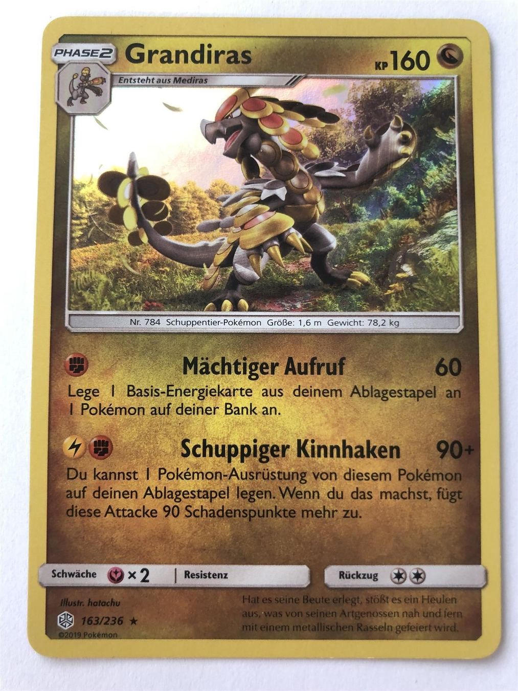 Pokémon Sammelbilder & Trading cards: Grandiras - Holo - Pokemon TCG – Neu (gemäss Beschreibung) aus Nussbaumen AG von Pika-Shop