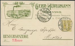 ZH Wädenswil - Litho - Ganzsache - Mollis GL