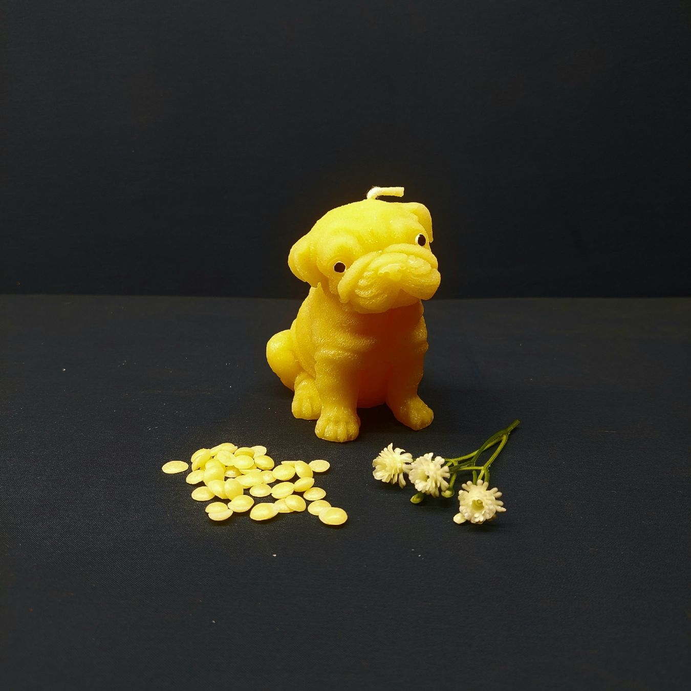 Candele: Bienenwachskerze, Hund, Boxer – Nuovo (secondo la descrizione) da Jegenstorf venduto da pluesch94