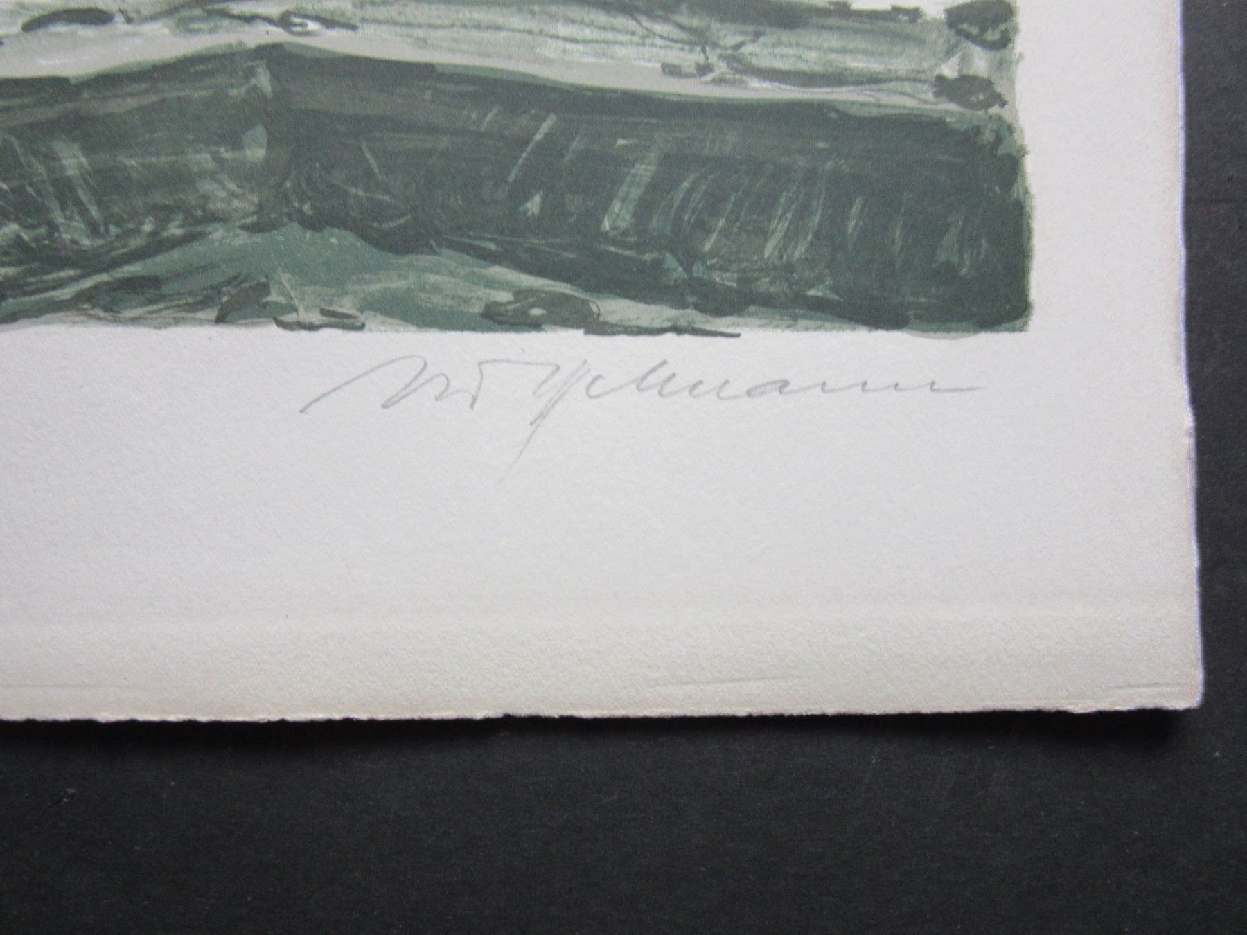 Arts picturaux & lithographies: Diggelmann Alex Walter SIGNIERT NUMMERIERT – D'occasion à Gersau par grafik-kunst 2