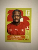 Panini WM 2026!!!!