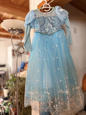 Princessin Kleid/ Kostüm Gr.Label 150 ehe140/146