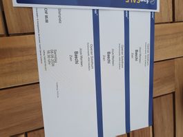Openair Solothurn 08.08.2026, Baschi, CHF 60.00