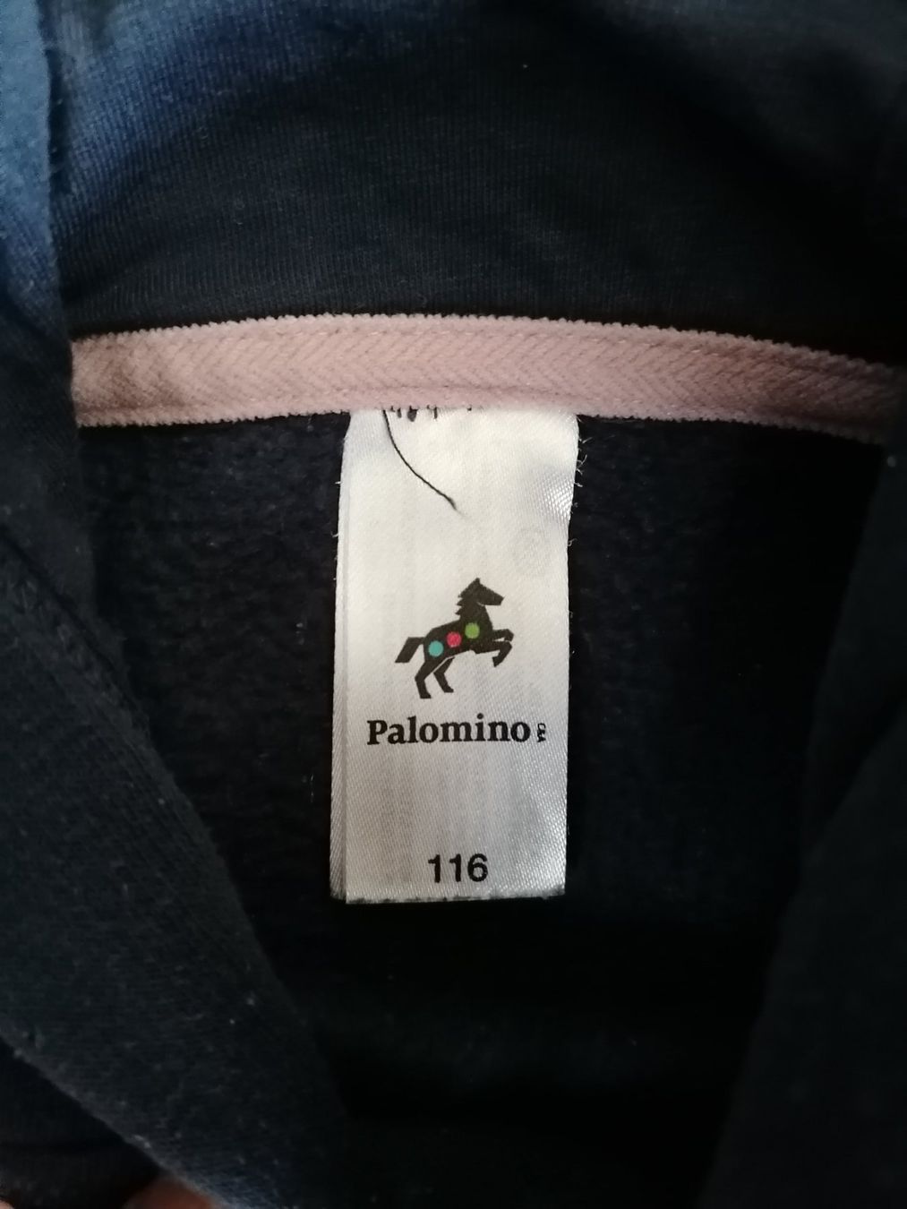 Maglioni & Felpe: Pullover / Hoodie Gr. 116 – Usato da Büttikon AG venduto da Amineah 1