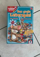 Das große Leiterspiel