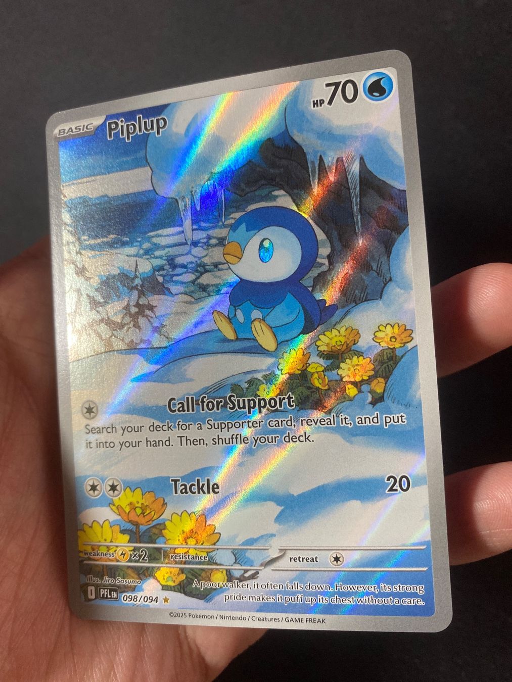Pokémon Carte collezionabili: Piplup 98 - Plinfa - IR - Phantasmal Flames - EN – Nuovo (secondo la descrizione) da Hausen AG venduto da Shrade 2