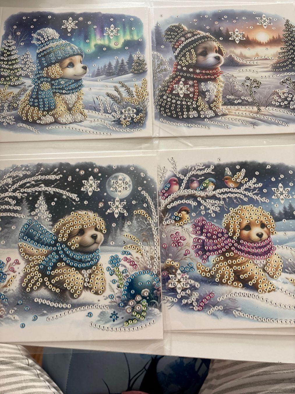 Kit bricolage: Diamond Painting Karten Hund – Nuovo (secondo la descrizione) da Amriswil venduto da SCHLOSSGEISTLI 1