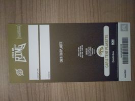 Rock am Ring, Car & Tent Plakette