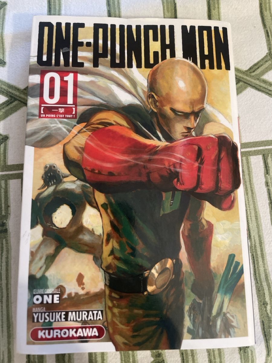 Bücher: One-Punch Man 1 – Neu (gemäss Beschreibung) aus Lausanne von log_rrq7
