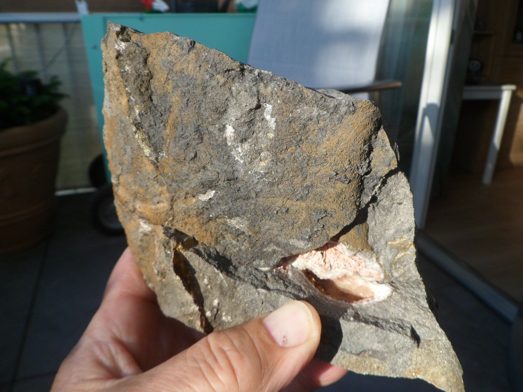 Fossili: Ammonitstück dreiteilig. Schweiz – Usato da Affoltern am Albis venduto da Fossil60