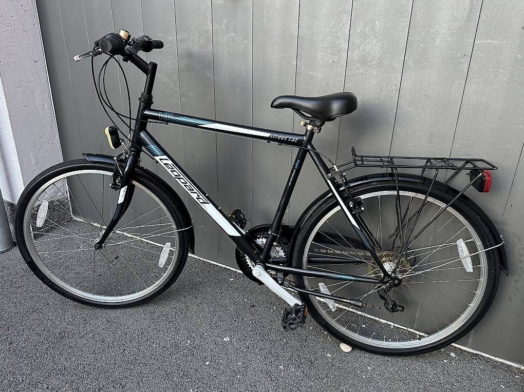 Biciclette: Bicicletta da uomo città Leopard 26  – Usato da Quartino venduto da DiloUsato 1