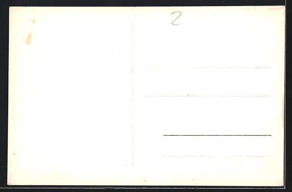 Cartoline postali: Vevey, Le Chateau-Hotel-Pension, Tea Roo – Usato da Berlin venduto da bartko-reher 1