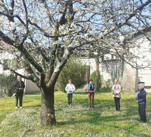 corsi di Qi Gong e Tai Chi stile Yang della Scuola Itcca