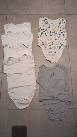 Bodys 